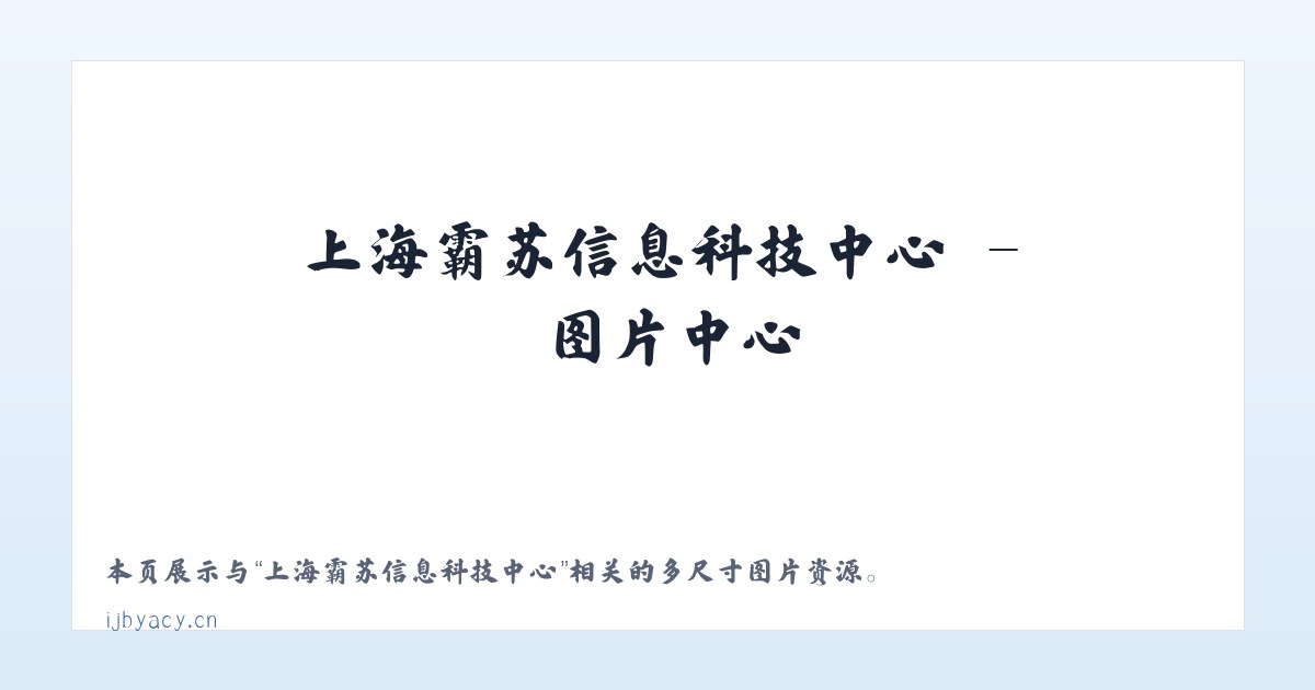 上海霸苏信息科技中心 主图