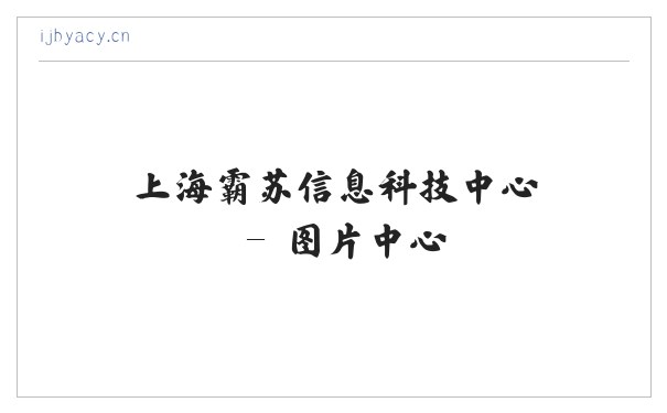 上海霸苏信息科技中心 缩略图
